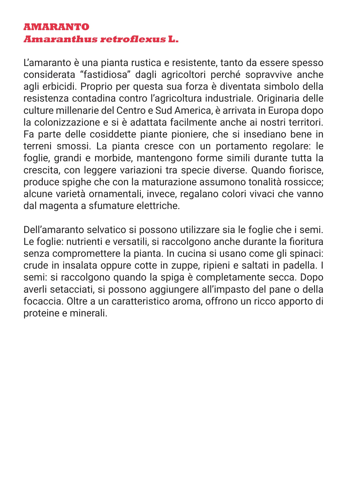 L'Otto in Cucina - Fanzine — pagina 14 di 48