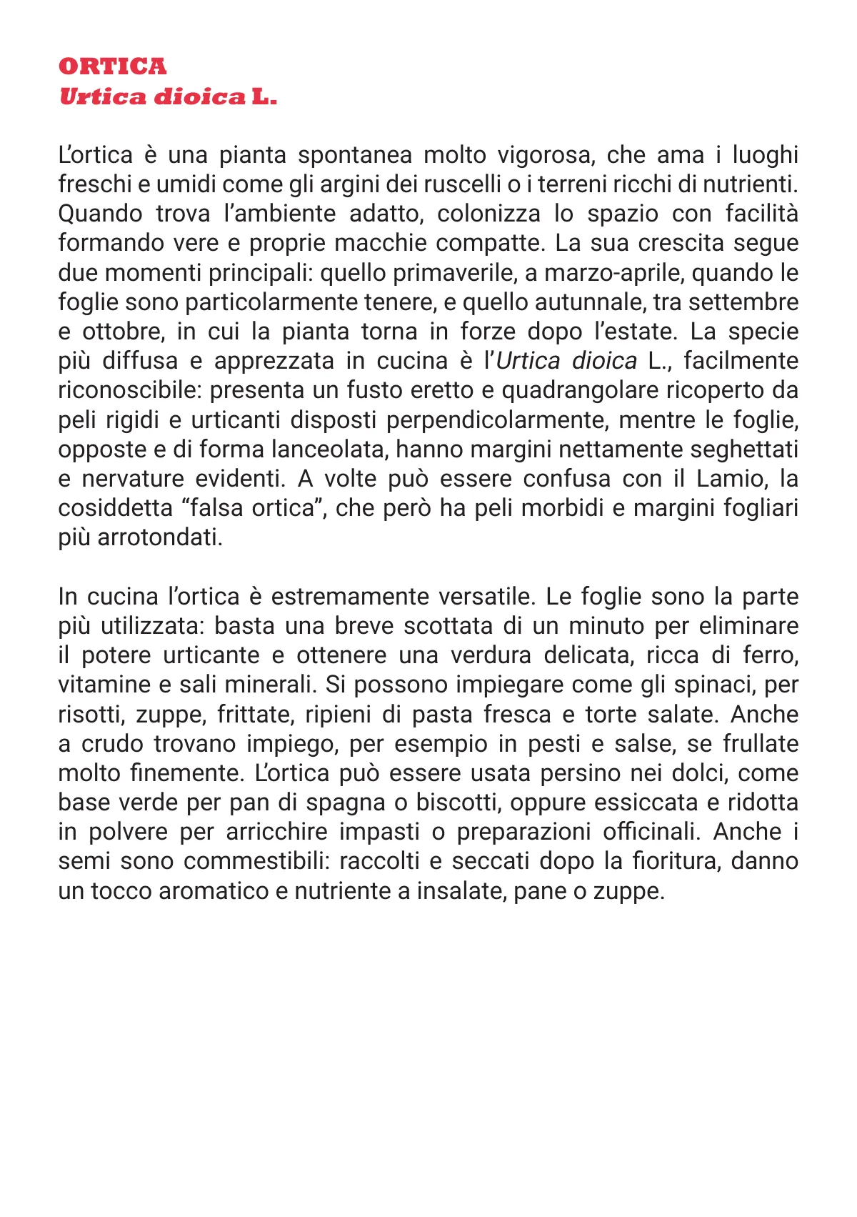 L'Otto in Cucina - Fanzine — pagina 34 di 48