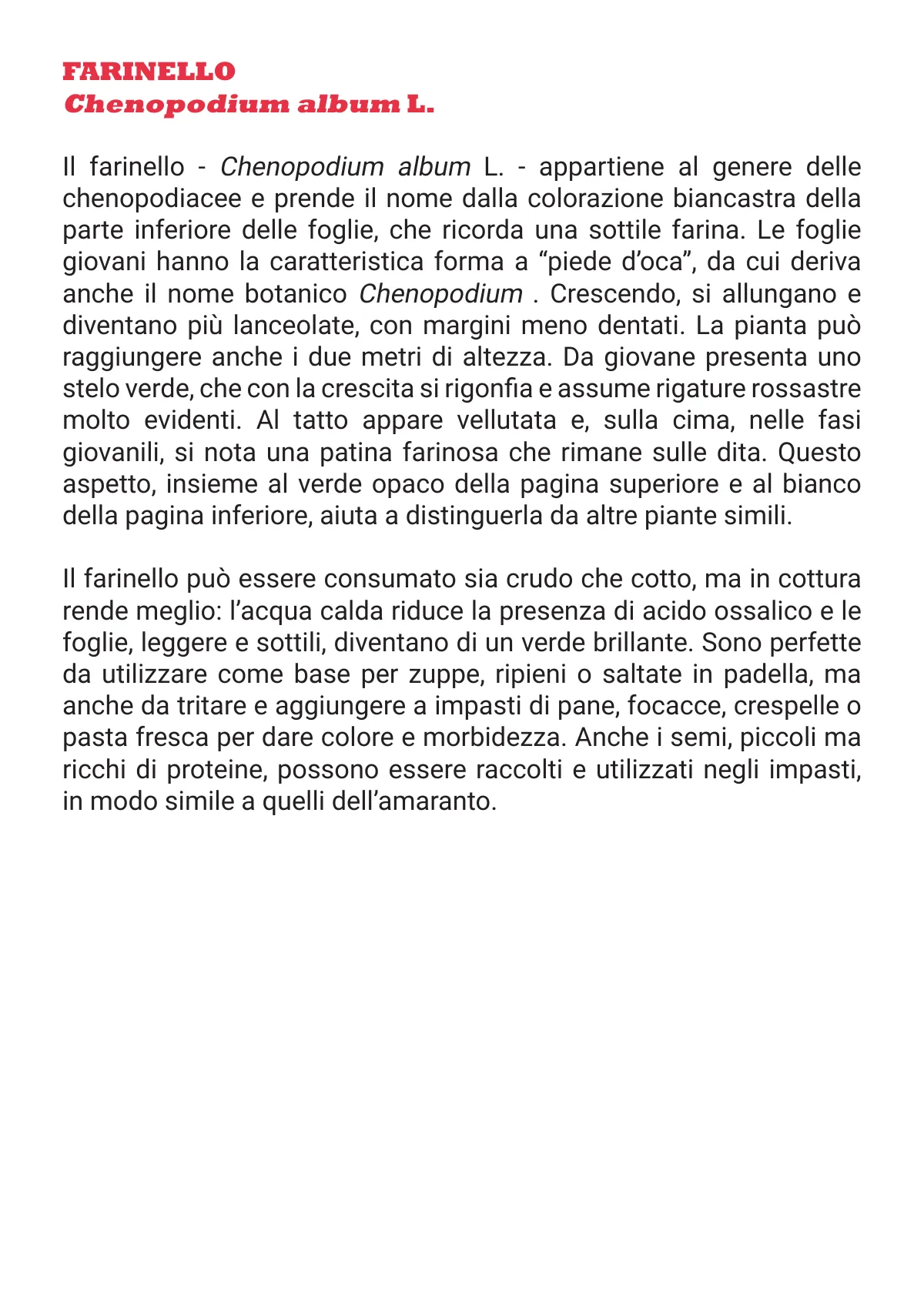 L'Otto in Cucina - Fanzine — pagina 42 di 48