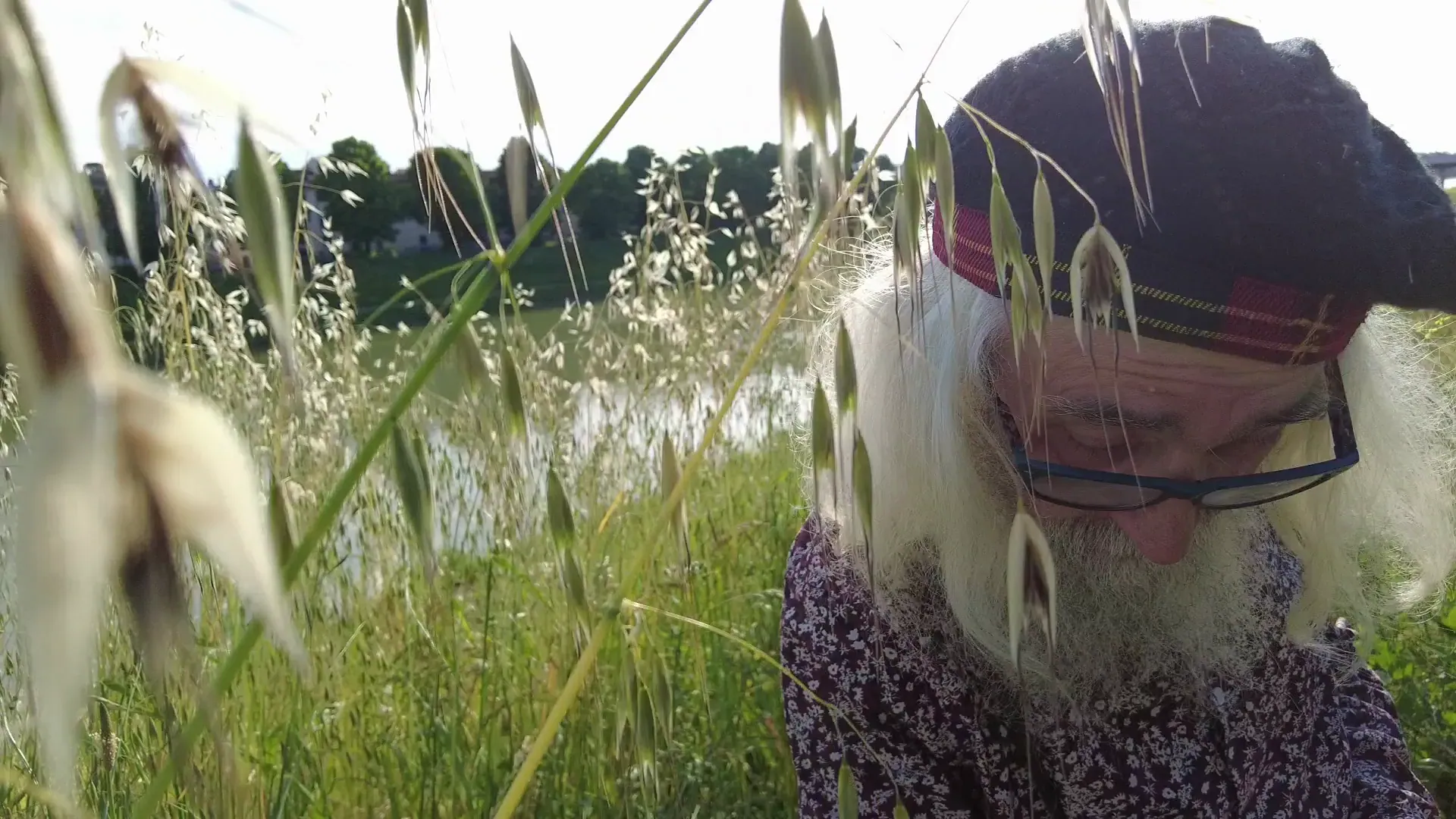Frame 9 del corto Il Raccoglitore