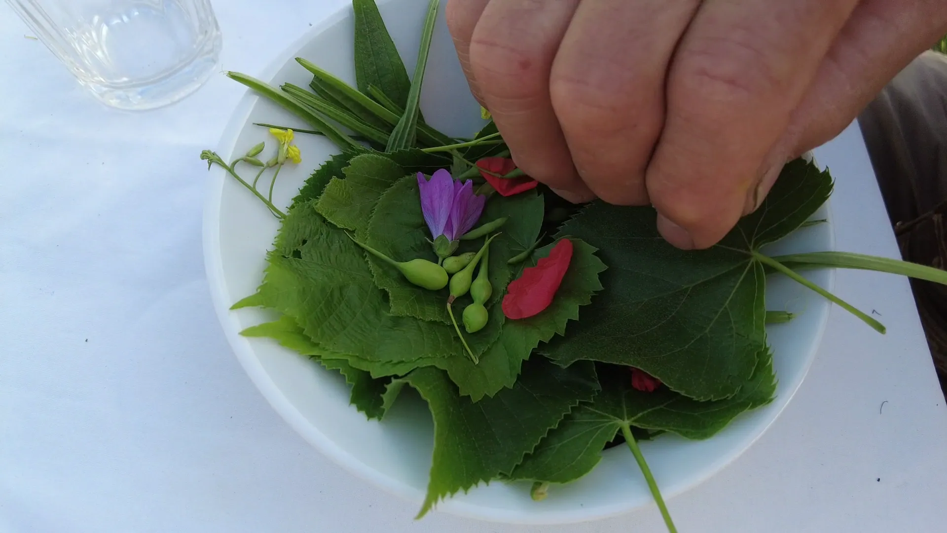Frame 14 del corto Il Raccoglitore